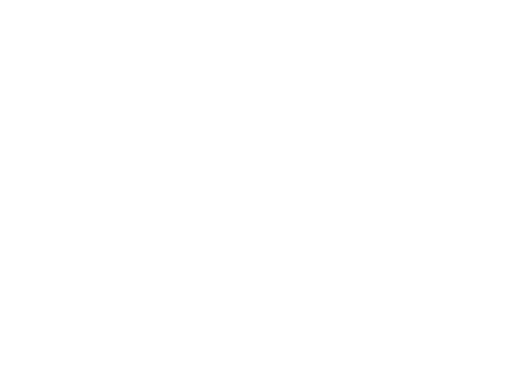 Jaramillo Distribution
